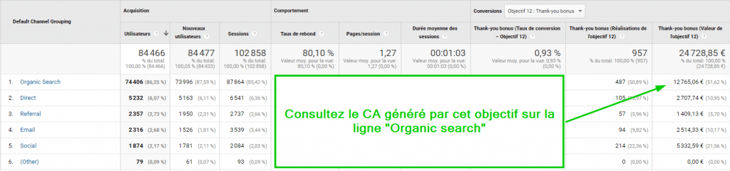 Consultez le CA généré par cet objectif sur la ligne "Organic search"